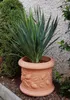 Garden Italia Pots Zylindertopf mit Zitronen ICLM Produktbild-Vorschau 2