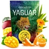 Yaguar - Tè di mate Mango Tango 500 g - Una sferzata di Anteprima dell’immagine prodotto 9