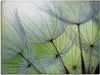 ARTland Leinwandbild Pusteblumen-Samen II Größe: 60x45 cm Produktbild-Vorschau 1