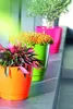Coubi runder Blumentopf mit Sockel weiß 28x26.2cm Produktbild-Vorschau 3