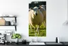 MuchoWow® Poster Schafe - Tiere - Wolle 60x120 cm - Produktbild-Vorschau 3