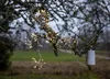 Outdoor-Lichterkette Flower 96 LEDs Timer L 210cm Produktbild-Vorschau 14
