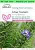SAFLAX Garden to go - Echter Rosmarin - Rosmarinus Produktbild-Vorschau 1