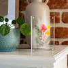HMF 46972 Magnetischer Bilderrahmen aus Acrylglas, 10,5 x Produktbild-Vorschau 10