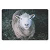 MuchoWow® Schreibtischunterlage Schafe - Tiere - Rinder Produktbild-Vorschau 1