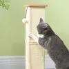 PawHut 3-in-1 Kratzstamm, 67cm Kratzsäule, Produktbild-Vorschau 7
