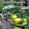 Süße Solar Frosch Figur, Outdoor Garten Dekoration, Solar Produktbild-Vorschau 6