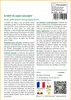 SAFLAX  - Erable du Japon pourpre - 20 graines - Avec Voir les images du produit 3