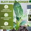 GreenPanda Monstera Dünger & Philodendron Dünger - 1L Produktbild-Vorschau 3