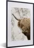 MuchoWow® Gerahmtes Poster Schottischer Highlander - Kuh - Produktbild-Vorschau 1