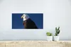 MuchoWow® Poster Adler - Nahaufnahme - Zweig 40x20 cm - Produktbild-Vorschau 5