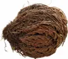 Lucky Reptile Rose de Jericho Voir les images du produit 2