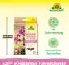 Neudorff Azet DüngeSticks für Orchideen - 40 Stück Produktbild-Vorschau 3