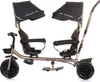 Chipolino Dreirad Tricycle Hip Hop, zwei Kinder, bis 40 kg, Produktbild-Vorschau 5