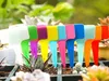 Pflanzenbeschreibungsetiketten Samenmerkmale 50 Stück Produktbild-Vorschau 3