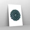 Poster - Poster ohne Rahmen - Agave Königin Victoria - Produktbild-Vorschau 7