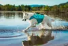 Non-stop dogwear Schwimmweste Protector Life Jacket türkis, Produktbild-Vorschau 15