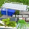 Collage of hydroponic growing systems and plants. Podgląd zdjęcia produktu