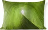 MuchoWow® Outdoor Kissen - Aufgerolltes Blatt - 60x40 cm - Produktbild-Vorschau 1