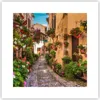 Poster - Poster ohne Rahmen - Path Blumen Haus Hof - 30x30 Produktbild-Vorschau 1