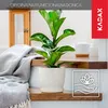Květináč KADAX "Turi", květináč s podšálkem, 28 cm, krémový Náhled obrázku produktu 3