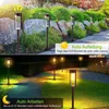 A split image showing solar garden lights in daytime and nighttime settings. Produktbild-Vorschau