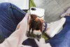 MuchoWow® Handyhülle Schutzhülle Hülle für iPhone 8 Produktbild-Vorschau 3
