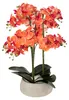 Orchidée artificielle en pot « Sanae » - Pot en ciment Voir les images du produit 5