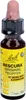 Bach Original Bach-Blüten RESCURA Original Tropfen, 10 ml Produktbild-Vorschau 7