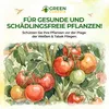 Eretmocerus Schlupfwespen gegen weiße Fliegen & Produktbild-Vorschau 6