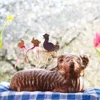 ORION Backform aus Keramik OSTERLAMM Produktbild-Vorschau 5