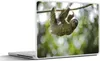 MuchoWow® Laptop Aufkleber Sticker Cover Ein Faultier hängt Produktbild-Vorschau 1