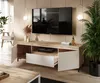 A modern living room with a TV stand, TV, and plants. Náhľad obrázku produktu