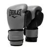 Everlast Fse Powerlock 2r Training cuir Gants de boxe Voir les images du produit 1