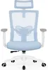 Chaise de bureau ergonomique Aiibot, chaise de bureau avec Voir les images du produit 1