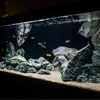 Aquariumrueckwand Selbstklebend Matt 200x50cm Schwarz Produktbild-Vorschau 14