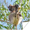 MuchoWow® Poster Koala - Luft - Kinder - Jungen - Mädchen Produktbild-Vorschau 1