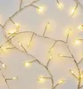 Cadena de luces LED navideñas, diseño de erizo, 2,4 metros, Vista previa de la imagen del producto 1