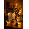 A string of warm white LED lights is draped around a vase of dried flowers and a small decorative Christmas tree, set on a wooden table. Voir les images du produit