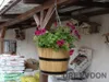 A hanging flower pot with pink flowers is shown in an outdoor covered area, with bags of soil and bird feeders in the background. Náhľad obrázku produktu