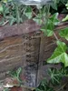 Ersatzglas für Regenmesser, klein Produktbild-Vorschau 1