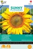 Slunečnice Henri Wilde | Semena slunečnice od Buzzy Seeds Náhled obrázku produktu 1