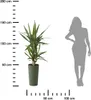 HowHomely Urbanika doniczka 47 cm wysokości, doniczka na Podgląd zdjęcia produktu 4