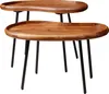 WOHNLING Couchtisch WL5.670 71x42x40 cm Sheesham massiv Produktbild-Vorschau 9