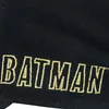 Batman Curved Bill Cap Core Logo Produktbild-Vorschau 4