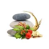 MycoMedica MycoBalance 90 capsule Anteprima dell’immagine prodotto 3