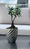 Keramik Blumentopf Glamour 14 cm silber Produktbild-Vorschau 2