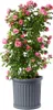 Pot de fleurs BAMA ROMA, anthracite Quantité : 1 pc Voir les images du produit 2