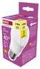 LED žárovka Classic A60 / E27 / 4 W (40 W) / 470 lm / teplá bílá Anteprima dell’immagine prodotto