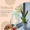 4er Set Orchideentopf Transparent Orchideen Übertopf Produktbild-Vorschau 3